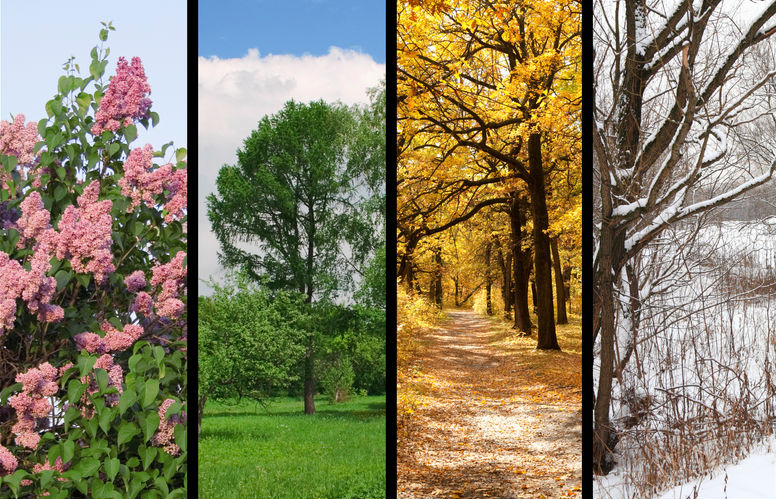 The Seasons of Acupuncture - Staying Healthy in Changing Seasons