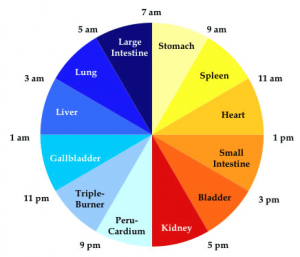 Chinese Body Clock