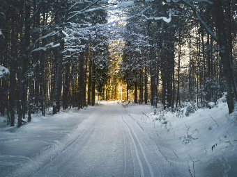 Seasonal Acupuncture - Acupuncture Winter Tune-Up - The Water Element